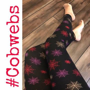Cobwebs 2-12